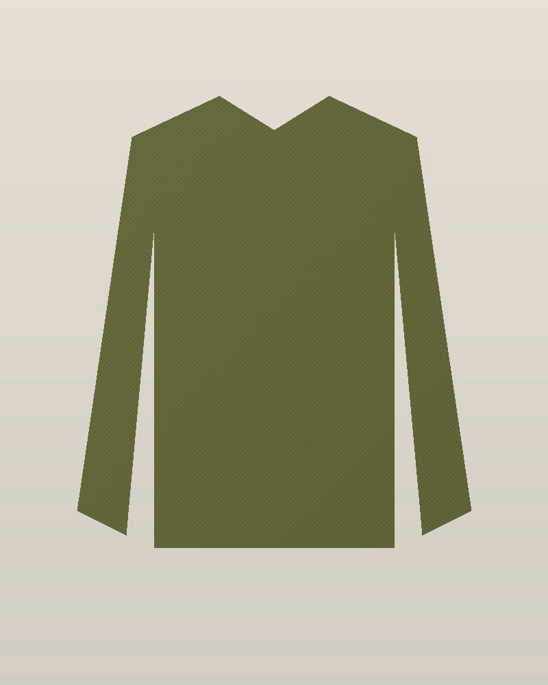 Y2K Cotton Fleece Faded Crewneck Sweatshirt — Olive, photographed flat